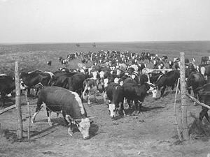 Stories From Nebraska’s Agricultural History