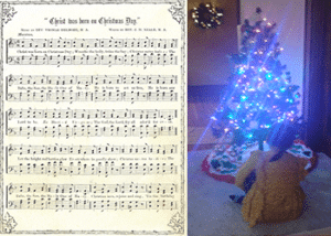 Christmas Carol Connections