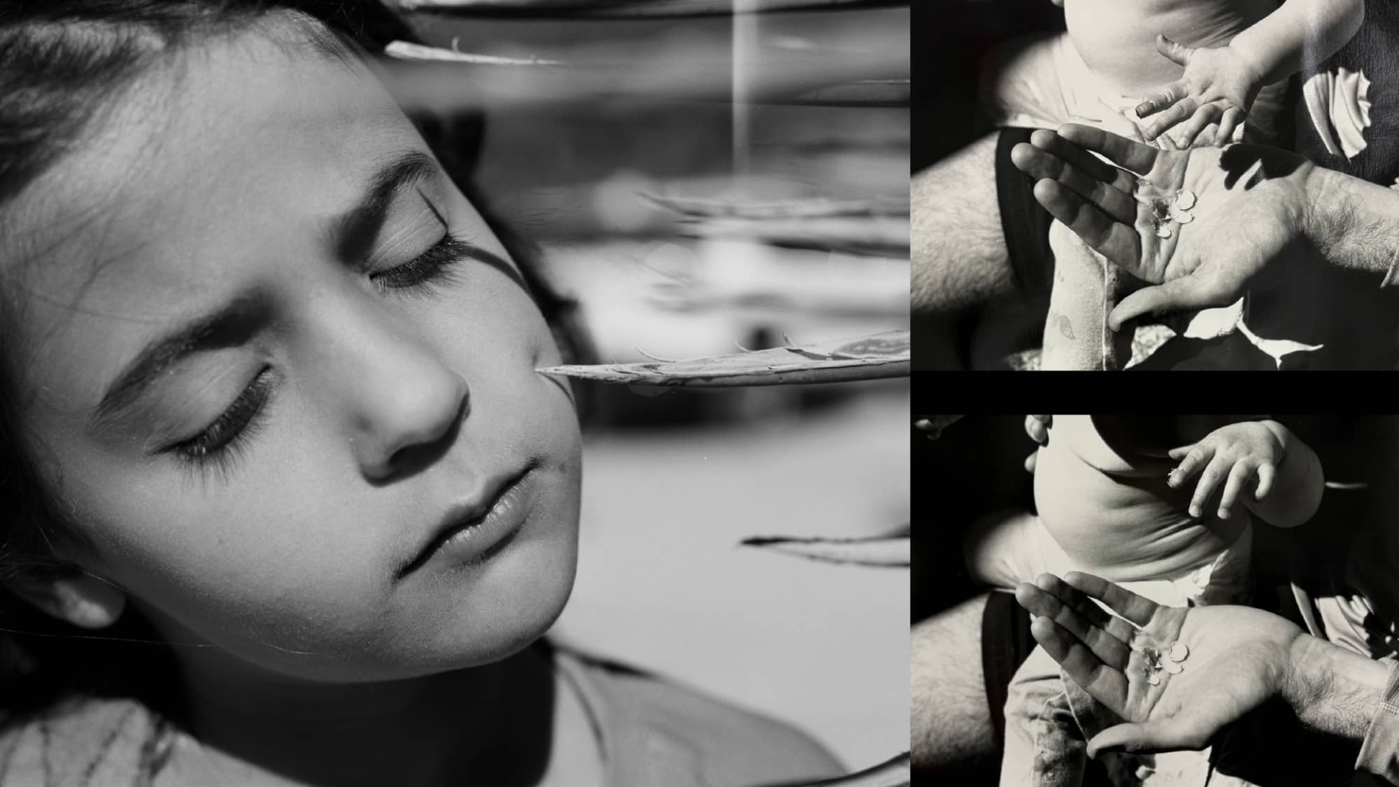 Composite of three black-and-white photos. Left side is a child with their eyes almost closed, their cheek pressing into a pointed plant leaf. Two images of the torso and hand of an infant held on the lap of an adult male whose free hand is open and holding some small objects.
